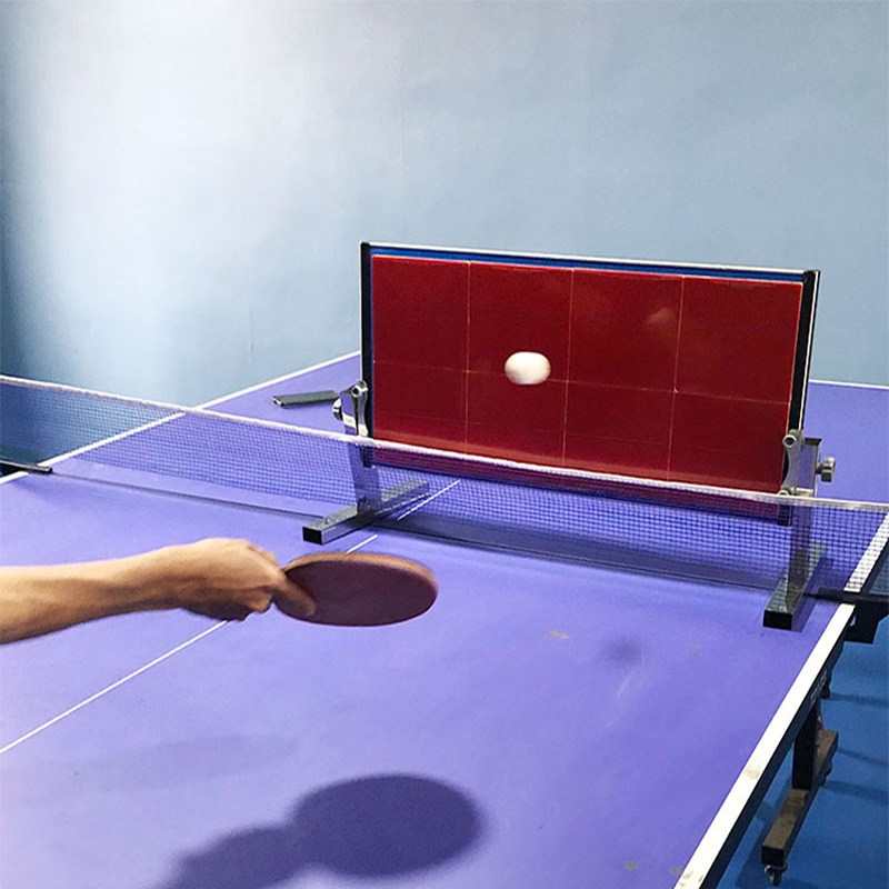 Table Tennis Daily - Tavolo da ping pong con rimbalzo