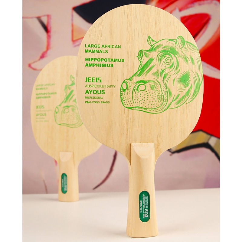 Racchetta da Ping Pong Profess - Table Tennis In Japanese recensione e prezzo