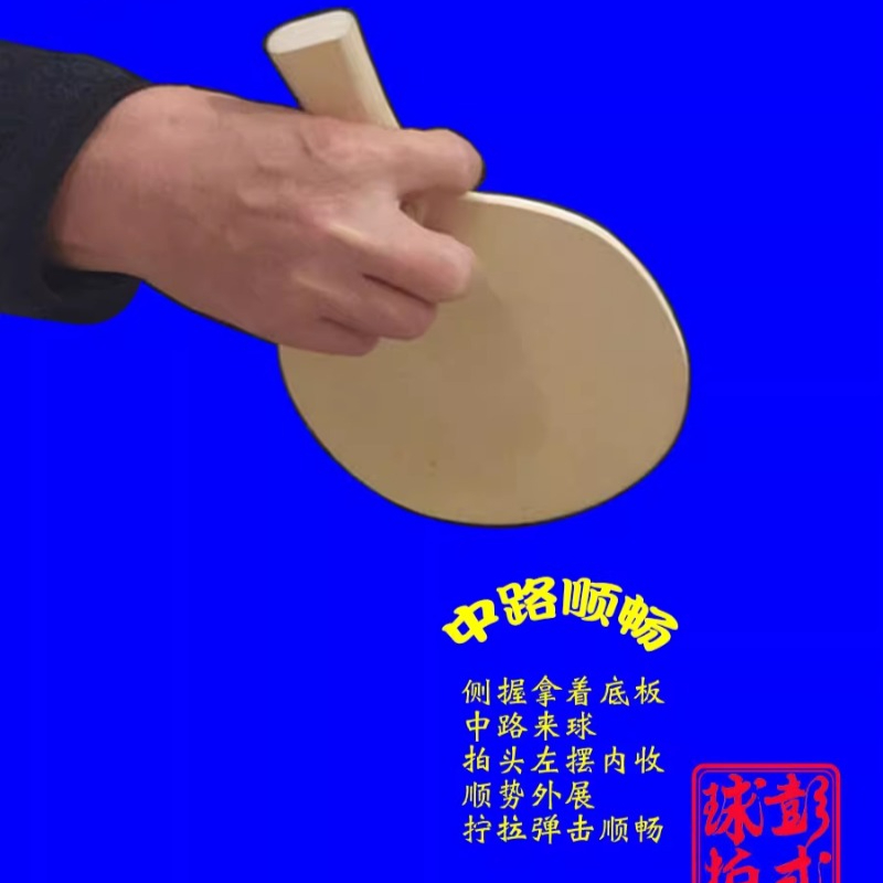 Racchette da ping pong in stil - Table Tennis In Japanese recensione e prezzo