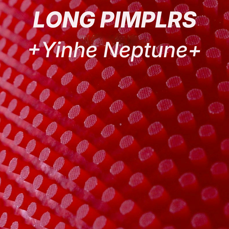 Gomma da Ping Pong YINHE NEPTU - Table Tennis Xiom Rubber recensione e prezzo